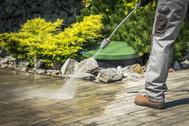 Best Animal Enclosure Cleaning  in Mount Vernon, IN