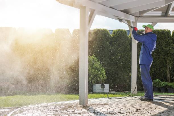 Best Rust Removal  in Mount Vernon, IN
