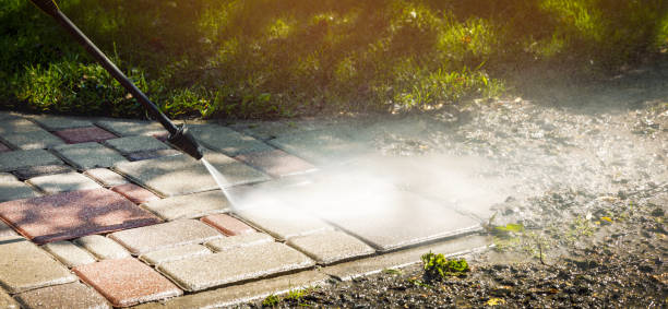 Best Roof Washing  in Mount Vernon, IN